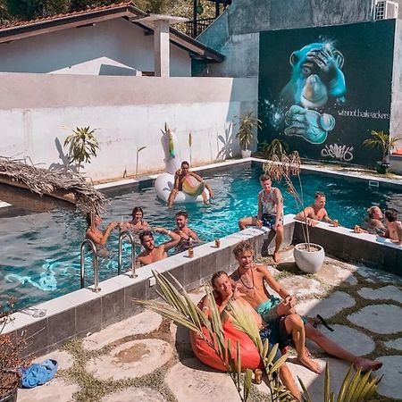 Why Not Backpackers Vandrarhem Mirissa Exteriör bild